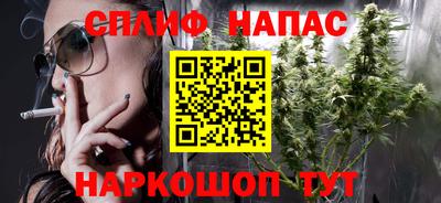 прущие грибы Будённовск
